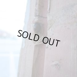 画像13: 丸みがあって可愛いデザイン　イギリスアンティークステンドグラス