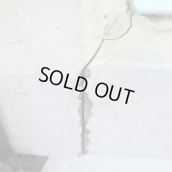 画像10: 赤い蕾と色合いの違う葉っぱが可愛らしい♪イギリスアンティークステンドグラス