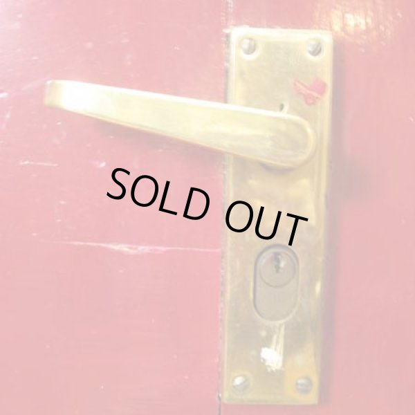 画像6: ステンドドアセット(ドア枠付）