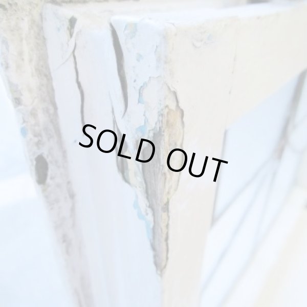 画像13: 赤い蕾と色合いの違う葉っぱが可愛らしい♪イギリスアンティークステンドグラス